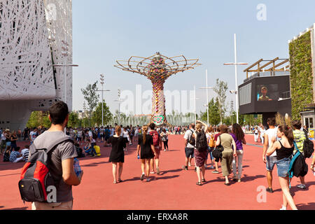 MILAN, ITALIE - 04 juin 2015 : arbre de vie EXPO 2015 Banque D'Images