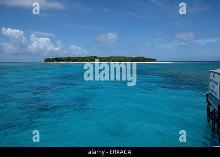 À Lady Musgrave Island Banque D'Images