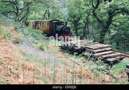 Train à vapeur sur la ligne de chemin de fer Talyllyn qui court pour 7,25 kilomètres de Tywyn sur la côte Mid-Wales à Nant Gwernol près du village d'Abergynolwyn. Mai 1973. Banque D'Images