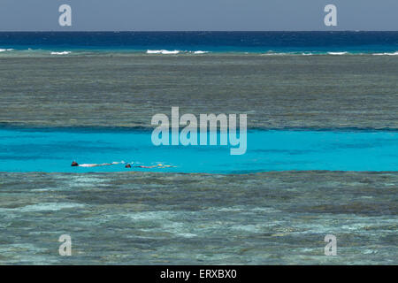 À Lady Musgrave Island Banque D'Images