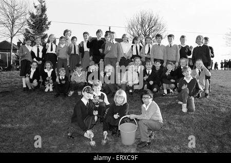 L'Crosland Junior School Ce placage Netherton ampoules sur le coin de Moor Lane et de taillis. 27 novembre 1991. Banque D'Images