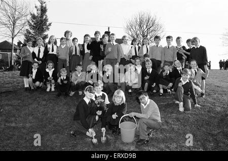 L'Crosland Junior School Ce placage Netherton ampoules sur le coin de Moor Lane et de taillis. 27 novembre 1991. Banque D'Images