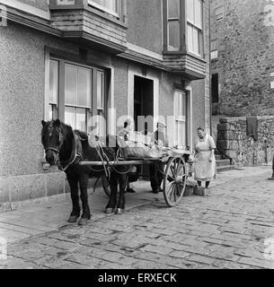 Vue générale de St Ives, Cornwall. Un cheval et panier tirant sur les fruits et légumes. 15 février 1954. Banque D'Images