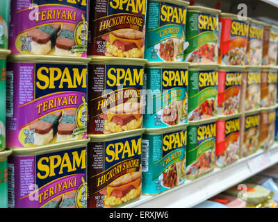 Pain de déjeuner d'épicerie, Spam Tins , Chinatown, NYC, Etats-Unis Banque D'Images