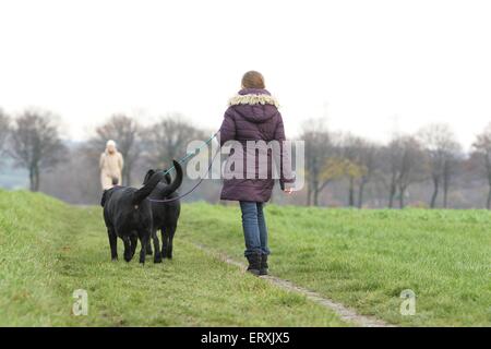 enfants et chiens Banque D'Images