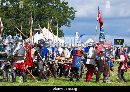 La guerre des Deux-Roses Russie adopter de nouveau à la bataille de Bosworth Bosworth battlefield Leicestershire Angleterre UK GB EU Europe Banque D'Images