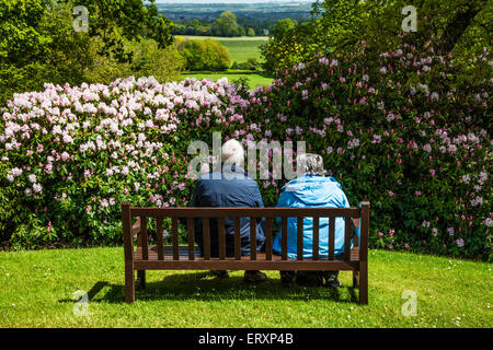 Un couple de personnes âgées profiter de la vue du mausolée de l'Bowood Estate dans le paysage du Wiltshire. Banque D'Images