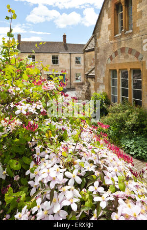 Le printemps dans les Cotswolds - Clematis et chèvrefeuille floraison au Old School de la ville de Cotswold Winchcombe, UK Banque D'Images