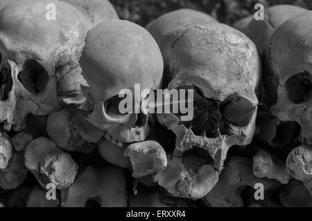 Crânes dans Fontanel, cimetière Sanità trimestre Naples Banque D'Images