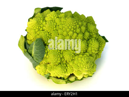 Romane, Romanesco Chou-fleur ou Brocoli, Romanesco Brassica oleracea, Brassicaceae. Banque D'Images