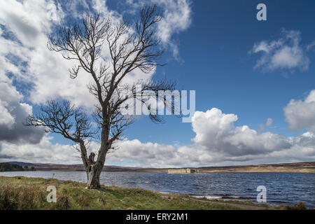 Sur Lochindorb Dava moor dans la région de l'Ecosse. Strathspey Banque D'Images