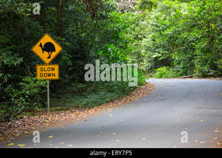 Signe de route Avertissement pour protéger le sud (Casuarius casuarius casoar) dans la région de Daintree, Queensland, Australie Banque D'Images