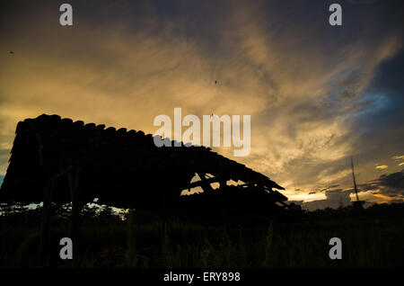 Cabane de silhouette au milieu des champs de riz dans l'après-midi Banque D'Images