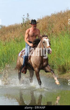 Man rides American Paint horse Banque D'Images