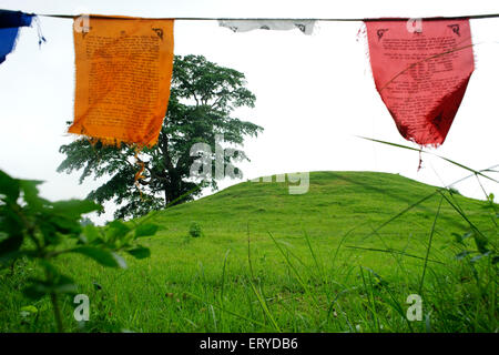 Drapeaux de prière bouddhistes , Rama Grama Sakyamunybuddha ; Patrimoine mondial de l'UNESCO , lieu de naissance du Bouddha , Lumbini ; Népal Banque D'Images