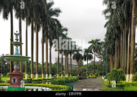 Avenue des palmiers , jardins Eden ; Calcutta , Kolkata ; Bengale-Occidental ; Inde , Asie Banque D'Images