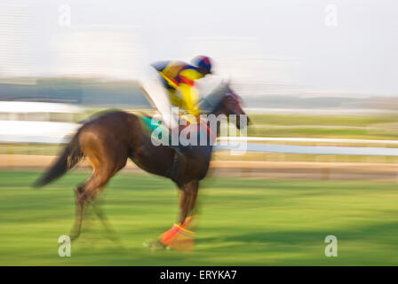 Les courses de chevaux ; Jockey montant un cheval à Mahalaxmi race course ; Bombay maintenant Mumbai Maharashtra ; Inde ; Banque D'Images