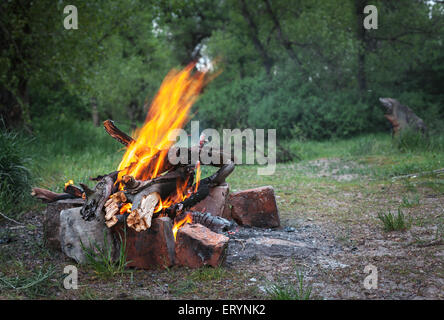 Feu de forêt au printemps. Les charbons de feu. Crépuscule en Ukraine Banque D'Images