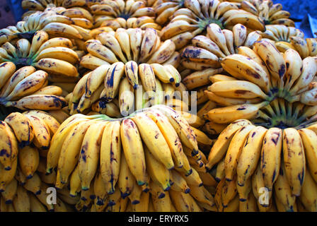 Bananes à vendre , genre musa ; Margaon ; Goa ; Inde , Asie Banque D'Images