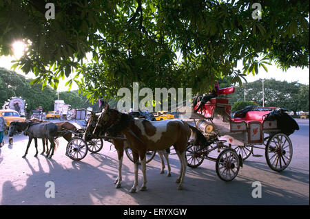 Charrettes à cheval , Kolkata , Calcutta , Bengale-Occidental , Inde , Asie Banque D'Images