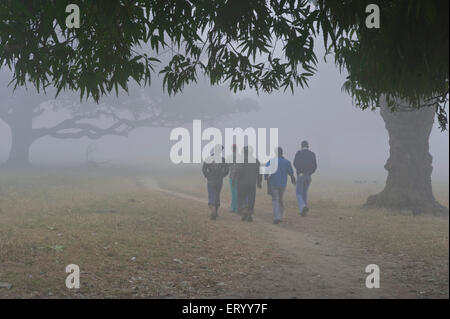 Maidan, Brigade Parade Ground, plus grand parc urbain, brouillard matinal d'hiver, Calcutta, Kolkata, Bengale occidental, Inde, Asie Banque D'Images