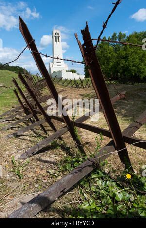 Français restauré WW1 tranchée et de l'enchevêtrement de barbelés sur la Butte de Vauquois, ancien champ de bataille près de Verdun Banque D'Images