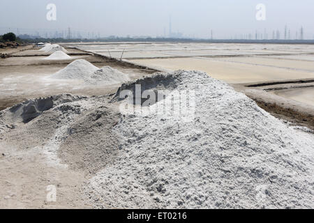 Sel de mer, salin, ferme de sel de Wadala, Bombay, Mumbai, Maharashtra, Inde, Asie Banque D'Images