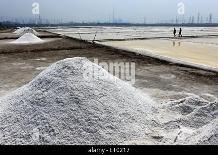 Sel de mer, salin, ferme de sel de Wadala, Bombay, Mumbai, Maharashtra, Inde, Asie Banque D'Images