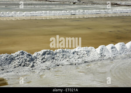 Sel de mer, salin, ferme de sel de Wadala, Bombay, Mumbai, Maharashtra, Inde, Asie Banque D'Images