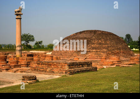 Pilier Ashokan ; pilier Ashoka ; pilier Lion ; Stupa en brique ; Kolhua ; Vaishali ; Bihar ; Inde Banque D'Images