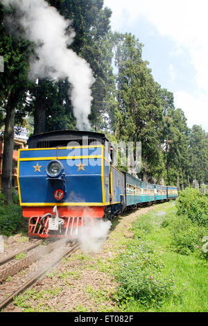 Toy train , Nilgiri Mountain Railway , patrimoine mondial de l'UNESCO , Ooty , Udagamandalam , Nilgiris , Ghats occidentaux , Tamil Nadu , Inde , Asie Banque D'Images