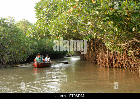 Les gens du bateau en backwater mangrove Pichavaram forêt près de Chidambaram Tamil Nadu Inde maa - 150517 Banque D'Images