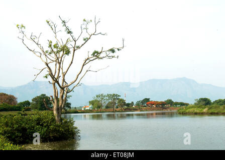 Le lac d'Ooty Udhagamandalam Pykara ; ; ; Tamil Nadu Inde Banque D'Images