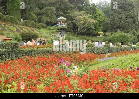 Le jardin botanique du gouvernement qui a été aménagé en 1847 par le marquis de Tweeddale à Ooty Udhagamandalam ; Tamil Nadu Banque D'Images