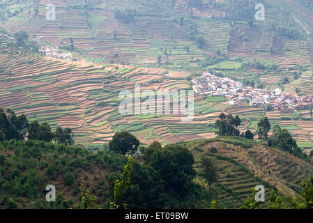 Kodaikanal communément appelé Kodai est situé dans les collines Palani à 2133 mètres au-dessus du niveau de la mer ; Tamil Nadu Inde ; Banque D'Images