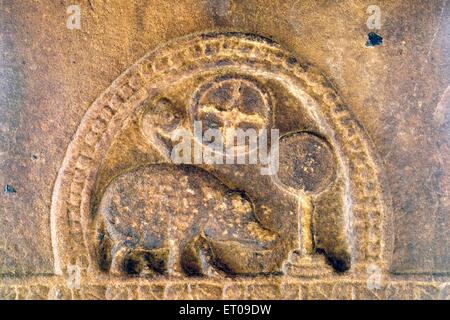 Boar Varaha, emblème royal, Chalukyas Bas relief, temple Ladkhan, Aihole, Karnataka, Inde Banque D'Images