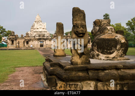 Nandi temple Kailasanatha grès au roi Pallava Narasimhavarman Mahendra huit siècle ; Kanchipuram en Tamil Nadu Banque D'Images