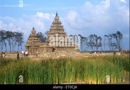 Shore temple cinq structure étagée en 700 728 EC dans Mamallapuram Mahabalipuram ; Tamil Nadu Inde ; Banque D'Images