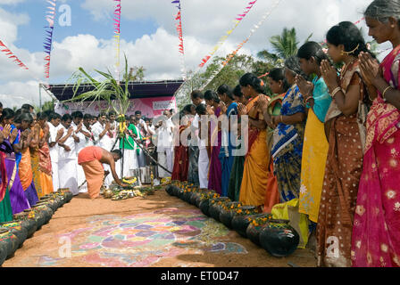 Kinathukkadavu ; Pongal près de Chennai Tamil Nadu ; Inde ; Banque D'Images