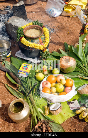 Kinathukkadavu ; Pongal près de Chennai Tamil Nadu ; Inde ; Banque D'Images