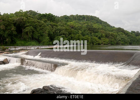 Ezhatumugham cascades, Athirappilly, Athirapally, Trichur, Thrissur, Kerala, Inde, Asie Banque D'Images