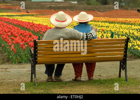 Indira Gandhi Memorial Tulip Garden, Model Floriculture Center, Tulip Garden, Srinagar, Jammu-et-Cachemire, Inde, Asie Banque D'Images
