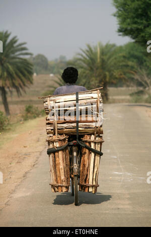 Homme portant du bois sur vélo, Jamshedpur, Jharkhand, Inde, vie indienne Banque D'Images