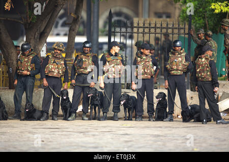 Gardes de sécurité nationale commandos NSG avec des chiens à l'extérieur de Taj Mahal Hôtel après avoir tué des terroristes Bombay Mumbai Maharashtra Inde Indien Banque D'Images