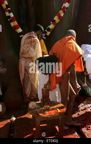 Les dévots qui cherchent bénédiction statue Bhagwan Gomateshwara Bahubali Mahamasthakabhisheka Shravanabelagola ; Hassan Karnataka Banque D'Images