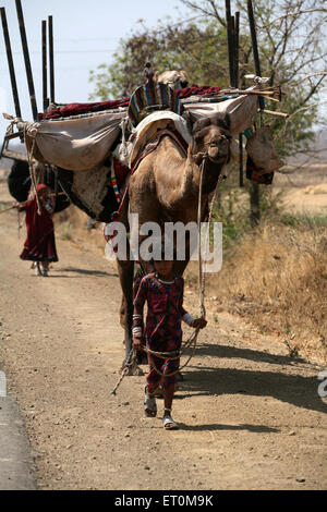 Fille nomade avec des chaînes de transport de chameaux stocks familiaux sur elle ; l'enfant dormant dans jhola chiffon sur Bhopal Banque D'Images