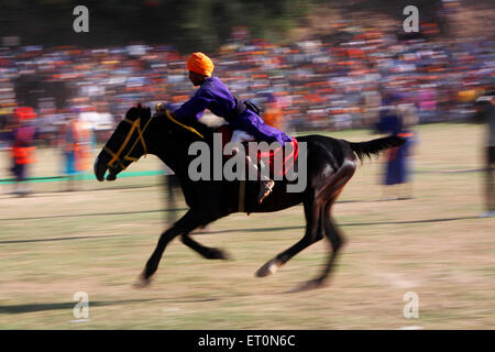 Guerrier Sikh Nihang ou cascades d'équitation sur cheval pendant Hola Road à Anandpur sahib festival Banque D'Images