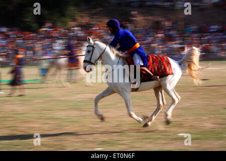 Guerrier Sikh Nihang ou transportant des cascades lance à cheval équitation pendant Hola Road Festival à Anandpur Banque D'Images