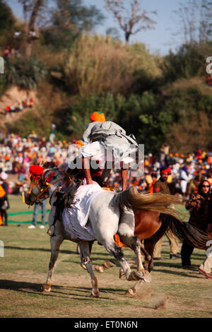 Guerrier Sikh Nihang ou équitation sur deux chevaux en même temps lors de célébration à Road Hola Anandpur sahib dans Rupnagar Banque D'Images