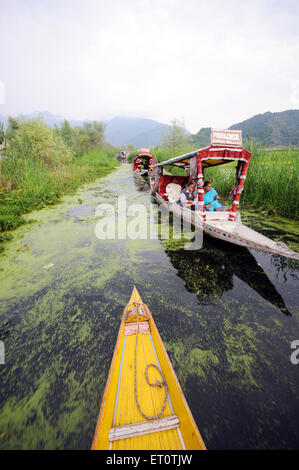 Canoe shikaras dans dal lake ; Srinagar, Jammu-et-Cachemire ; Inde ; Banque D'Images